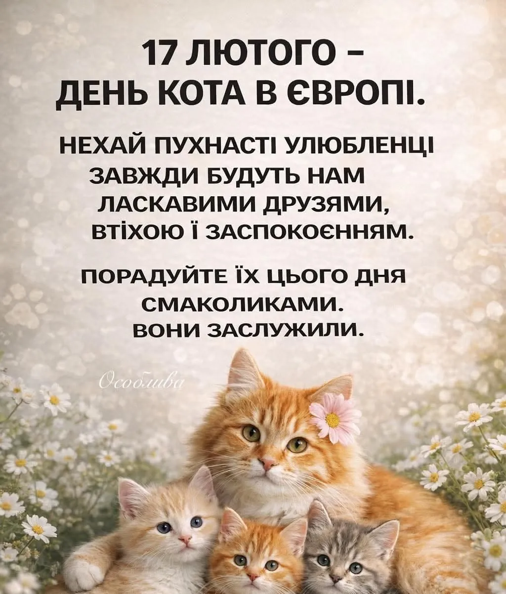 День кота в Європі 2027 — 17 лютого